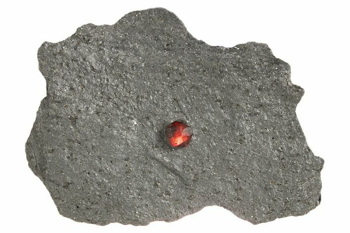 Red Embers Garnet in Graphite - Massachusetts #313478